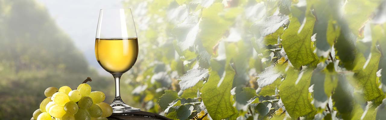 Férias de vinho e comida em casa de fazenda