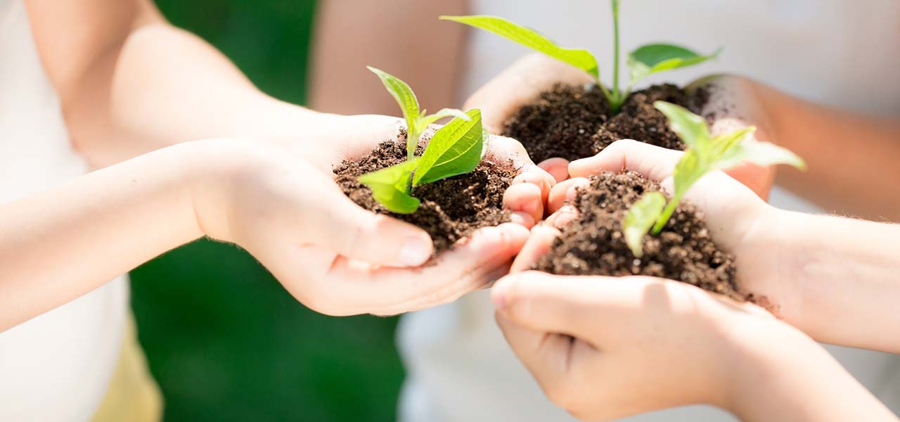 Fazendas orgânicas na Toscana