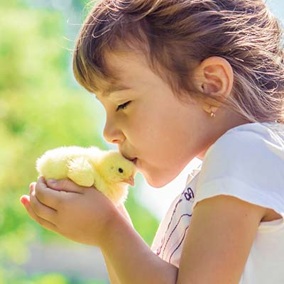 Férias em família: Quinta com animais para crianças